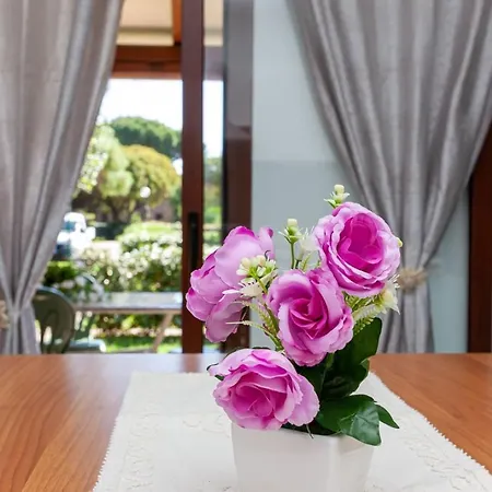 La Cinta Tatil Evi *