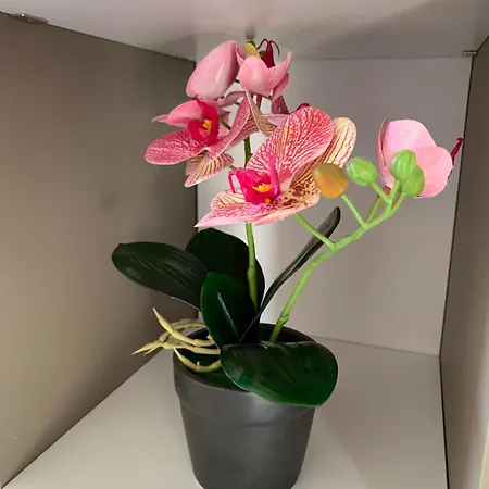 Сasa de vacaciones La Cinta *